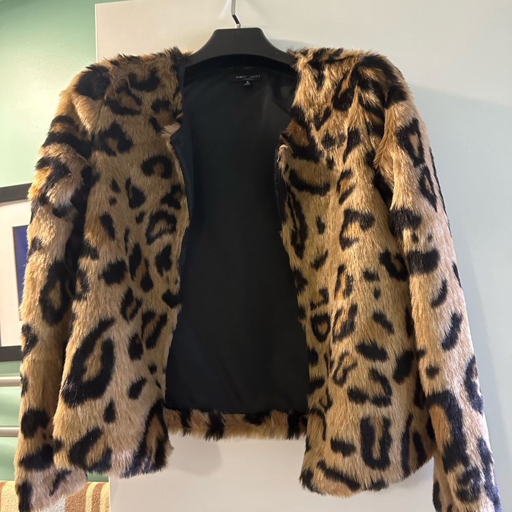 Leopard!